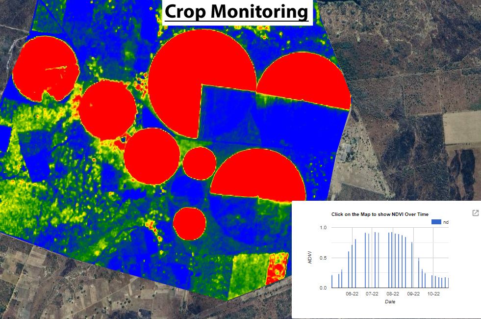 Satellite map of irrigated fields showing crop condition